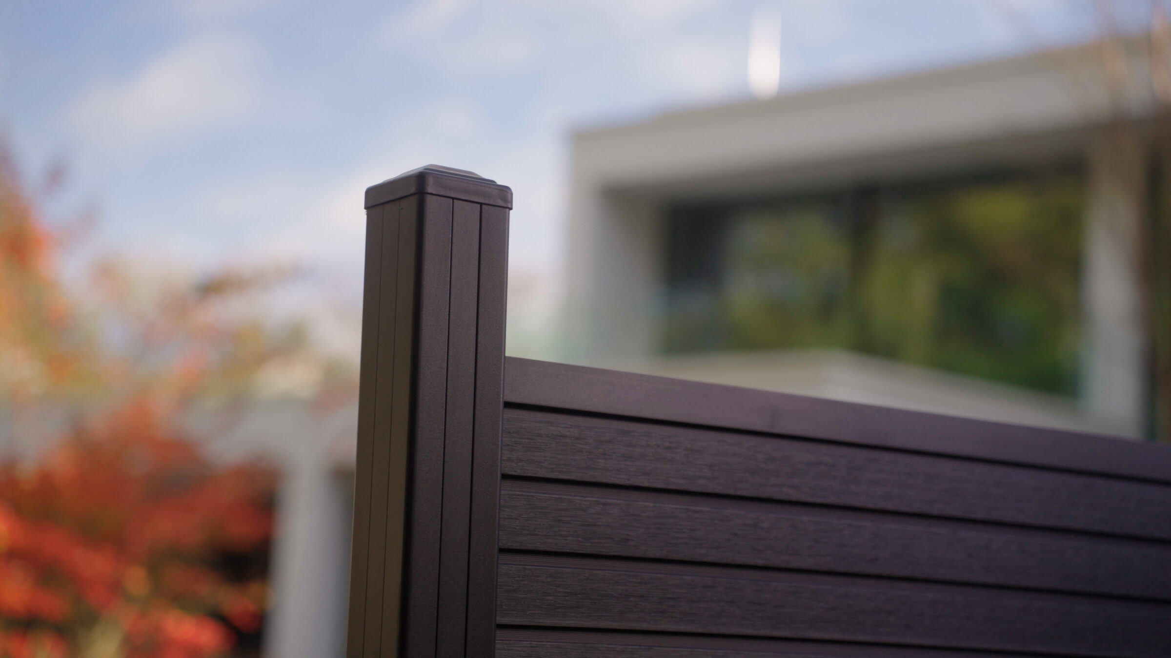 Black Rhombus garden